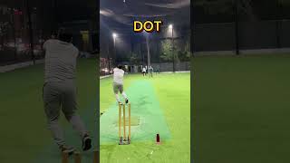 One over challenge Match 🥵🏏 sixers shortsfeed shorts shorts youtube youtubeshorts ytshorts [upl. by Ahseuqram]