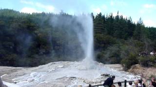 Lady Knox Geyser  New Zealand [upl. by Areek]