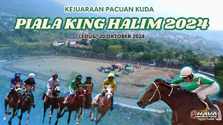 KEJUARAAN PACUAN KUDA LEDUG TERBARU  PIALA KING HALIM 2024 [upl. by Eocsor]