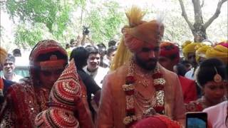 Ravindra jadeja marriage with Rivaba solanki at Rajkot [upl. by Xena]