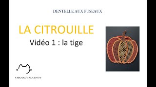 LA CITROUILLE Vidéo 1 La tige de la citrouille [upl. by Aikcir]