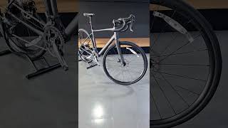 Trek Domane AL2 Gen4 gravelbike domane [upl. by Anirrok]