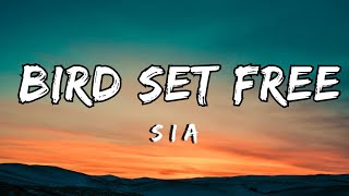 Sia  Bird set free Lyrics [upl. by Atsilac]