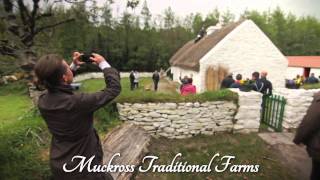 Events at Muckross Traditional Farms [upl. by Nalad]