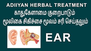 Ear Problems  காது சிக்கல்கள்  Adiiyan Herbal Treatment Ep 51 [upl. by Ruddy]