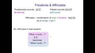 AcqOfLang1 Affricates [upl. by Naiva]