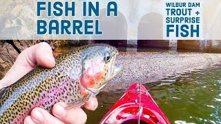 Fish in a Barrel  Wilbur Dam  Watauga River Tennessee [upl. by Ordisi679]