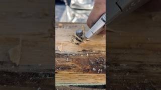 Precision at its finest construction framing hardwork trending asmr [upl. by Jevon]