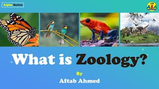 What is Zoology in English [upl. by Jeniffer742]