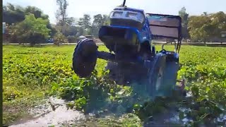 Sikandar di 47 rx New Model Tractor Stuck in Mud  Tractor Farming Kisan viralvideo viral [upl. by Eloci124]