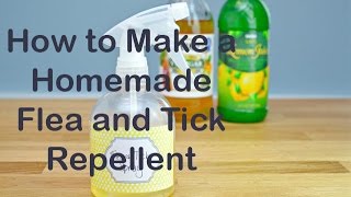 How to Make a Homemade Flea and Tick Repellent [upl. by Nerred]