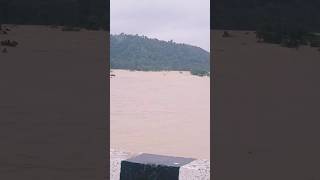 Koyal river naturelover 🌊 sort reelsvideo [upl. by Malvia]