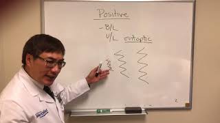 Positive visual phenomenon Part I Entoptic Migraine Occipital Seizures [upl. by Libbna]