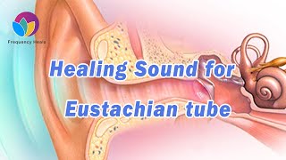 Healing Sound for Eustachian Tube Dysfunction  Relieve Ear Pain amp Reduce Hearing Difficulty [upl. by Nepets]