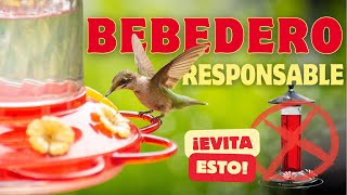 Néctar para Colibrí 🌳 Como hacer néctar para colibrí con solo 2 ingredientes🌺 [upl. by Lilyan]