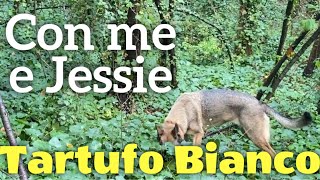 5 minuti a tartufo bianco  Io e Jessie mix pastore tedesco e pastore belga malinois 25 anni [upl. by Fransen695]