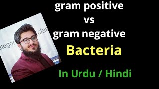 gram positive vs gram negative bacteria comparison  in Urdu hinidi [upl. by Lesab104]