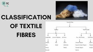 Classification of Textile Fibres Explained [upl. by Nigel]