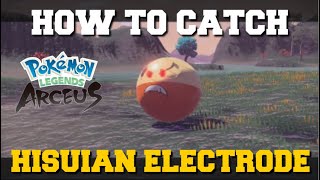 HOW TO CATCH HISUIAN ELECTRODE IN POKEMON LEGENDS ARCEUS HOW TO GET HISUIAN ELECTRODE [upl. by Elsie]