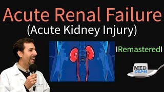 Acute Kidney Injury  Acute Renal Failure Explained Clearly  Remastered [upl. by Akinert170]