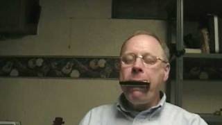 jigs on the Harmonica no hands or rack by Mark Panfil [upl. by Ihc499]