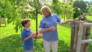 A MarthaStyle Grilling Party⎢Martha Stewart [upl. by Arden]