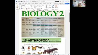 BIO II LAB MODULE4ORGANISMALKINGDOM ANIMALIA ARTHROPODA ECHINODERMATA AND CHORDATES [upl. by Nitsyrc451]