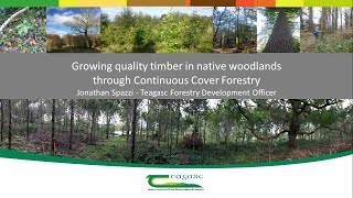 Growing quality timber in native woodlands [upl. by Annanhoj325]