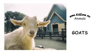 Kidzone Animals Goats [upl. by Lauter]