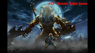 BOTW No death Master Mode Part 25  Thunder Blight Ganon Fight [upl. by Ellehsem]