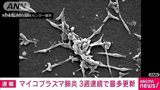 マイコプラズマ肺炎の全国患者数 3週連続で過去最多を更新2024年10月22日 [upl. by Boutis]