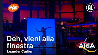 Leander Carlier  Deh vieni alla finestra  ARIA [upl. by Nyleda640]