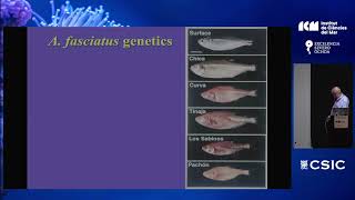 The origin of cave fauna by means of phenotypic plasticity  Dr Aldemaro Romero Jr [upl. by Kornher219]