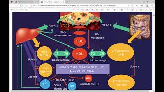 Hyperlipidemia practical points [upl. by Elaval]