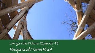 How to build a Reciprocal Frame Roof  with Tony Wrench Living in the Future Ecovillages 43 [upl. by Derwood422]