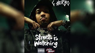 GHerbo  Streets Is Watching  FULL MIXTAPE [upl. by Marni241]