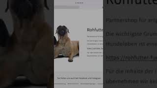 Produkttest Hundegeschirr Leckerli Tasche und Hundeschal von Lida Vel Hundezubehör NaturalCare69 [upl. by Nylirehs616]