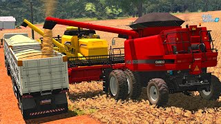 AMACIANDO O MOTOR DOS GURI  FARMING SIMULATOR 22  EP 18 OS GURI 4Âª TEMPORADA [upl. by Eutnoj]