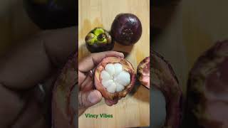 Mangosteen fruit shorts trending [upl. by Ellswerth197]