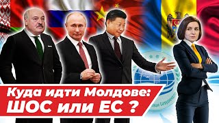 ШОС или ЕС Альтернатива еврореферендуму для Молдовы [upl. by Yerffej504]