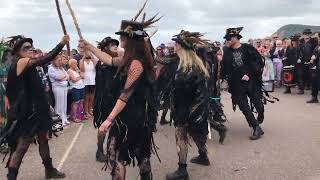 Sidmouth Folk Festival Beltane Morris on Esplanade 4824 [upl. by Esinek]