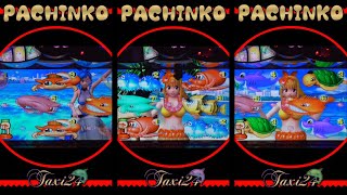 【JAPANESE GAME 】縦型！PACHINKOスーパー海物語M55W 2024年11月28日❻❣️❣️【実機リアル】感謝❣️ [upl. by Finstad]