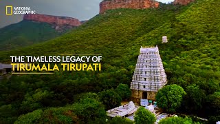 The Timeless Legacy of Tirumala Tirupati  Inside Tirumala Tirupati  National Geographic [upl. by Aeuhsoj]