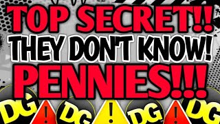 ⚠️TONS OF SURPRISE PENNIES EMPLOYEES DONT KNOW HUGE HAULS DOLLAR GENERAL PENNY LIST [upl. by Nnahgem]