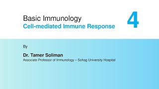 Basic Immunology  Cellmediated Immune Response Part 4 [upl. by Armillda]