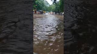 Nungambakkam rainfall rainwater cyclone rain water chennai weather [upl. by Gaivn58]