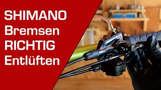 SHIMANO Bremsen entlüften  befüllen  MTB  ROAD  Deutsches Tutorial [upl. by Eelibuj]