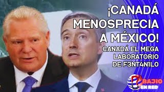 301  ¡CANADÁ MENOSPRECIA A MÉXICO CANADÁ EL MEGA LABORATORIO DE F3NT4N1L0 [upl. by Acinorev778]