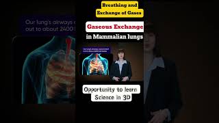 Breathing and exchange of gases  Class 11th  Biology cbse ncert neet [upl. by Elene]