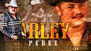 Arley Perez  Corridos Con Tololoche Y Tuba  Exitos De Oro [upl. by Herzen867]